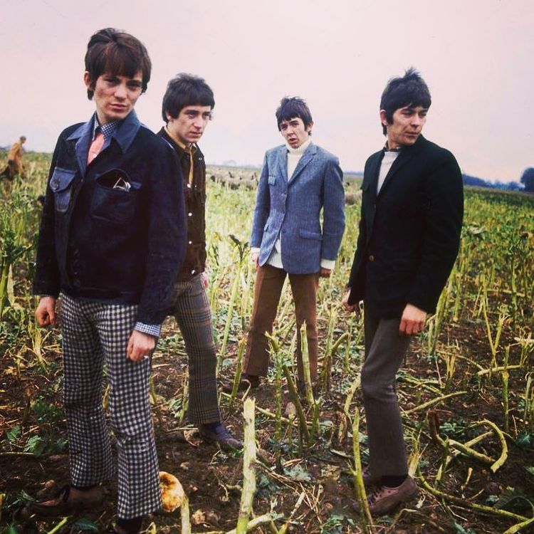 Small Faces - color 25 -TSF_IG